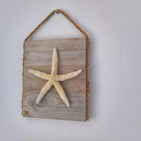 Oceanis Apartamento *